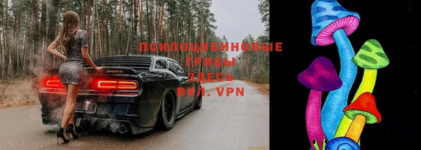 а пвп мука Ладушкин